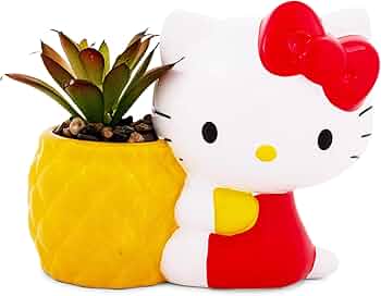 71xYc+BzhvL._AC_UF350,